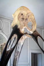 "Anomal" exposition de Quentin Garel au domaine de Chamarande (91) du 25 janvier au 29 mars 2020. Prolongations jusqu'au 14 juin 2020.