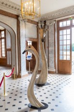 "Anomal" exposition de Quentin Garel au domaine de Chamarande (91) du 25 janvier au 29 mars 2020. Prolongations jusqu'au 14 juin 2020.