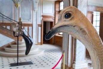 "Anomal" exposition de Quentin Garel au domaine de Chamarande (91) du 25 janvier au 29 mars 2020. Prolongations jusqu'au 14 juin 2020.