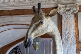 "Anomal" exposition de Quentin Garel au domaine de Chamarande (91) du 25 janvier au 29 mars 2020. Prolongations jusqu'au 14 juin 2020.