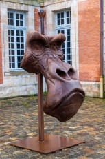 "Anomal" exposition de Quentin Garel au domaine de Chamarande (91) du 25 janvier au 29 mars 2020. Prolongations jusqu'au 14 juin 2020.