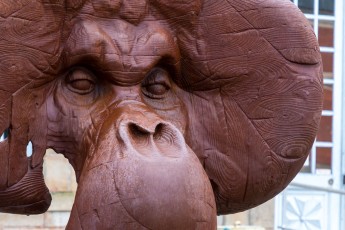 "Anomal" exposition de Quentin Garel au domaine de Chamarande (91) du 25 janvier au 29 mars 2020. Prolongations jusqu'au 14 juin 2020.