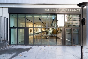 "Histoire naturelle" exposition de ROA à la galerie Itinerrance à partir du 12 décembre 2020.