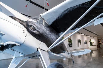 "Histoire naturelle" exposition de ROA à la galerie Itinerrance à partir du 12 décembre 2020.