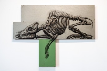 "Histoire naturelle" exposition de ROA à la galerie Itinerrance à partir du 12 décembre 2020.