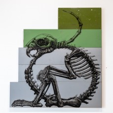 "Histoire naturelle" exposition de ROA à la galerie Itinerrance à partir du 12 décembre 2020.