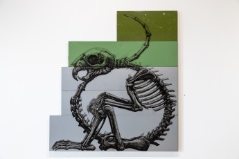 "Histoire naturelle" exposition de ROA à la galerie Itinerrance à partir du 12 décembre 2020.