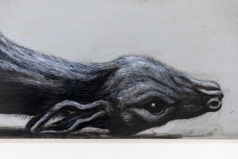 "Histoire naturelle" exposition de ROA à la galerie Itinerrance à partir du 12 décembre 2020.