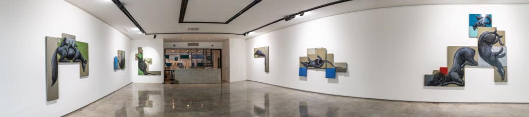 "Histoire naturelle" exposition de ROA à la galerie Itinerrance à partir du 12 décembre 2020.