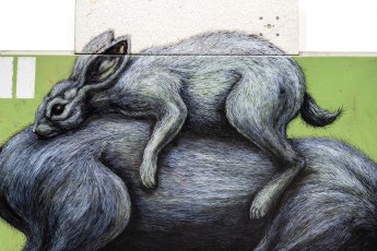 "Histoire naturelle" exposition de ROA à la galerie Itinerrance à partir du 12 décembre 2020.