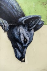 "Histoire naturelle" exposition de ROA à la galerie Itinerrance à partir du 12 décembre 2020.