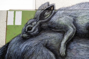 "Histoire naturelle" exposition de ROA à la galerie Itinerrance à partir du 12 décembre 2020.