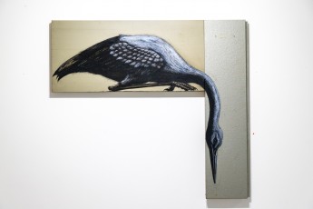 "Histoire naturelle" exposition de ROA à la galerie Itinerrance à partir du 12 décembre 2020.