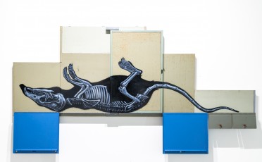 "Histoire naturelle" exposition de ROA à la galerie Itinerrance à partir du 12 décembre 2020.