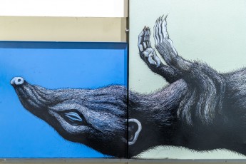 "Histoire naturelle" exposition de ROA à la galerie Itinerrance à partir du 12 décembre 2020.