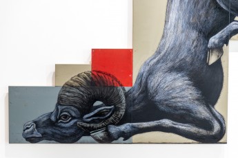 "Histoire naturelle" exposition de ROA à la galerie Itinerrance à partir du 12 décembre 2020.