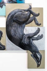 "Histoire naturelle" exposition de ROA à la galerie Itinerrance à partir du 12 décembre 2020.