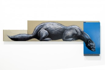 "Histoire naturelle" exposition de ROA à la galerie Itinerrance à partir du 12 décembre 2020.