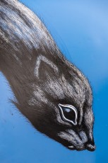 "Histoire naturelle" exposition de ROA à la galerie Itinerrance à partir du 12 décembre 2020.