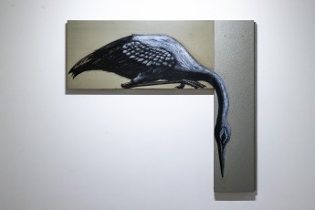 "Histoire naturelle" exposition de ROA à la galerie Itinerrance à partir du 12 décembre 2020. Vernissage - Samedi 12 décembre 2020