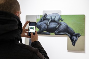 "Histoire naturelle" exposition de ROA à la galerie Itinerrance à partir du 12 décembre 2020. Vernissage - Samedi 12 décembre 2020