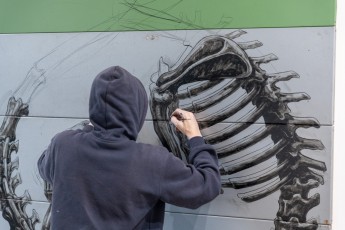 "Histoire naturelle" exposition de ROA à la galerie Itinerrance à partir du 12 décembre 2020. Work in progress