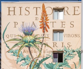 Mona Caron - Projet #1096 - Quartier Bernard de Jussieu - Versailles - Mars 2021