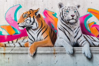 Dave Baranes - Graffic Art Festival - Puteaux (92) - Septembre 2021