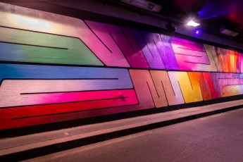 Hydrane - Tunnel des Tuileries - l’art urbain en bord de Seine - Août 2022