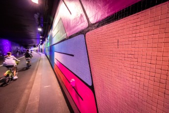 Hydrane - Tunnel des Tuileries - l’art urbain en bord de Seine - Août 2022