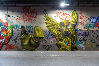 Djalouz - Tunnel des Tuileries - l’art urbain en bord de Seine - Janvier 2023