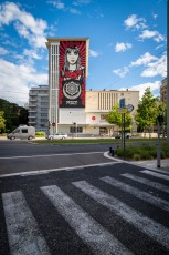 Shepard Fairey - Place Pasteur - Street Art Fest Grenoble - Juillet 2019