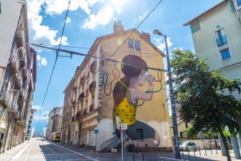 Seth - Avenue Aristide Briant - Fontaine - Street Art Fest Grenoble - Juillet 2019