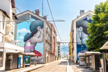 Seth - Avenue Aristide Briand - Fontaine - Street Art Fest Grenoble - Juin 2023