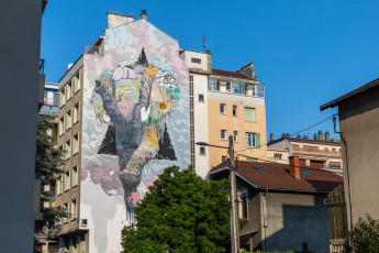 Brusk - Rue Mallifaud - Grenoble - Street Art Fest Grenoble - Juin 2023