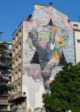 Brusk - Rue Mallifaud - Grenoble - Street Art Fest Grenoble - Juin 2023