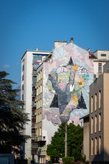 Brusk - Rue Mallifaud - Grenoble - Street Art Fest Grenoble - Juin 2023