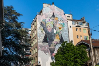 Brusk - Rue Mallifaud - Grenoble - Street Art Fest Grenoble - Juin 2023