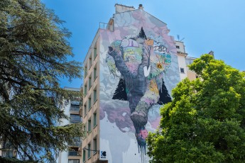 Brusk - Rue Mallifaud - Grenoble - Street Art Fest Grenoble - Juin 2023