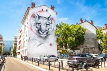 Satr - rue du Dr. Hermite - Grenoble - Street Art Fest Grenoble - Juin 2023