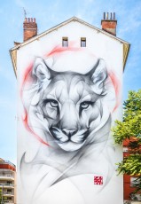 Satr - rue du Dr. Hermite - Grenoble - Street Art Fest Grenoble - Juin 2023