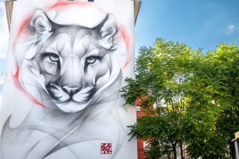 Satr - rue du Dr. Hermite - Grenoble - Street Art Fest Grenoble - Juin 2023