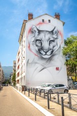 Satr - rue du Dr. Hermite - Grenoble - Street Art Fest Grenoble - Juin 2023