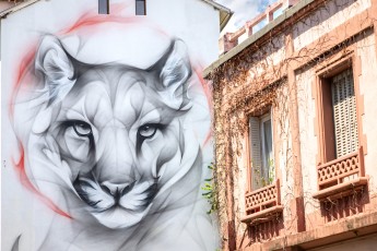 Satr - rue du Dr. Hermite - Grenoble - Street Art Fest Grenoble - Juin 2023