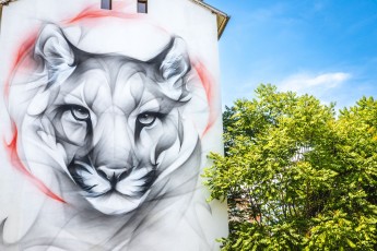 Satr - rue du Dr. Hermite - Grenoble - Street Art Fest Grenoble - Juin 2023