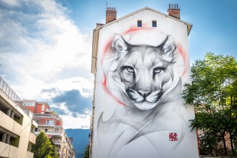 Satr - rue du Dr. Hermite - Grenoble - Street Art Fest Grenoble - Juin 2023