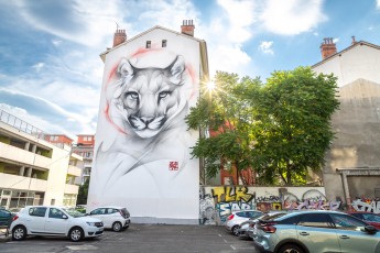 Satr - rue du Dr. Hermite - Grenoble - Street Art Fest Grenoble - Juin 2023