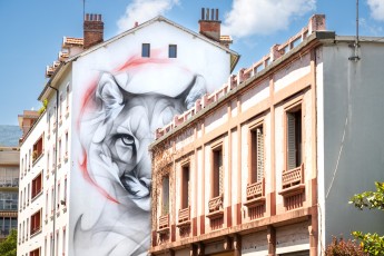 Satr - rue du Dr. Hermite - Grenoble - Street Art Fest Grenoble - Juin 2023