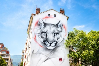 Satr - rue du Dr. Hermite - Grenoble - Street Art Fest Grenoble - Juin 2023