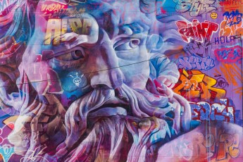 Pichiavo - Avenue Aristide Briant - Fontaine - Street Art Fest Grenoble - Juillet 2019